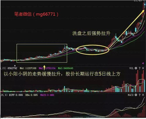 现在真的很没钱，很想把钱投入股票去赌一把，我该这样做吗