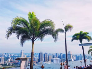 新加坡旅游风光