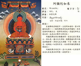 佛教 佛教经典 佛教图片 华易算命网 