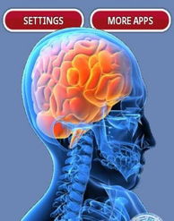 测试大脑年龄下载 测试大脑年龄V25 Jan 2014安卓版下载 测试大脑年龄手机版免费下载 安卓游戏下载 乐商店 