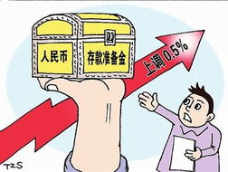 什么是人民币存款准备金、人民币存款准备金率