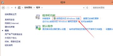 win10怎么把自带游览器删除