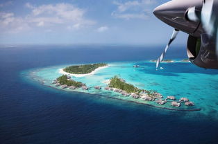 马尔代夫白金岛之旅攻略一次绝美的海岛旅行