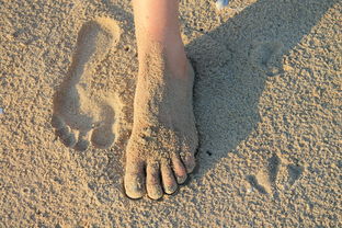 脚,沙,占地面积 