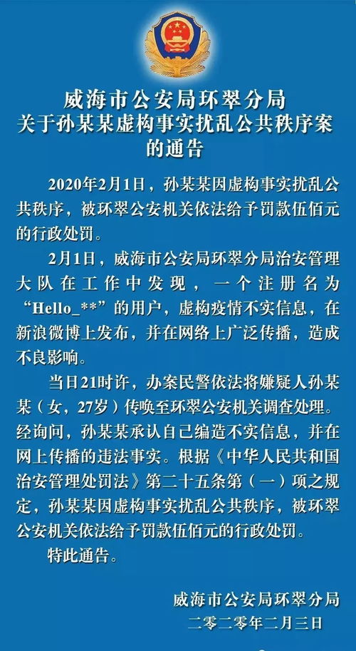 公安环翠分局处理一起虚构事实扰乱公共秩序案