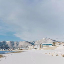 北海道唯美的雪景桌面壁纸 信息评鉴中心 酷米资讯 Kumizx Com
