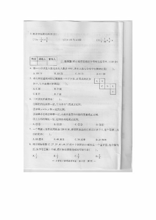 2011小学数学毕业论文