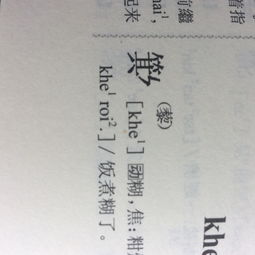 为何在喃字 方块僮字之中会存在似的笔画 