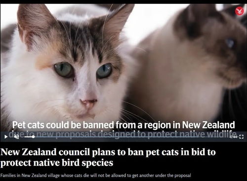 世界首个禁猫令发布, 无猫化 是正当合理还是漏洞百出