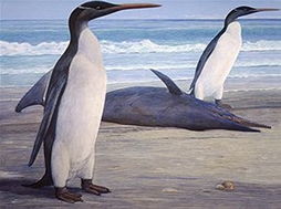 世界上体型最大的企鹅是什么(体型最大的企鹅物种是)