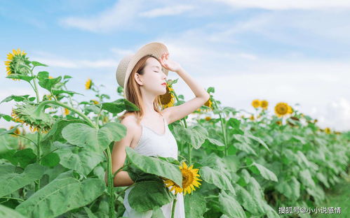 5月底,前任后悔,桃花有心,爱意重燃的3星座