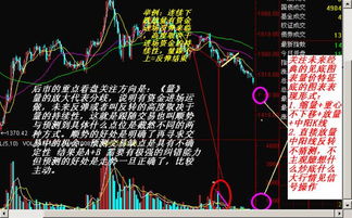 北方股市狂人 如何精准把握短线买卖点 看两线就足以独步股市