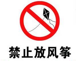 怎么办,成都的公园禁止放风筝了,以后都不能放风筝了吗