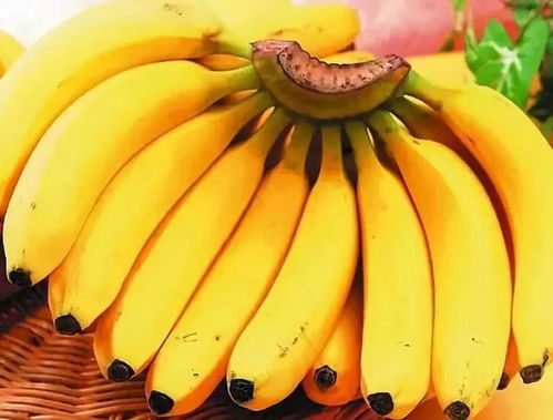 吃香蕉有什么好处？长期吃香蕉有什么好处和坏处