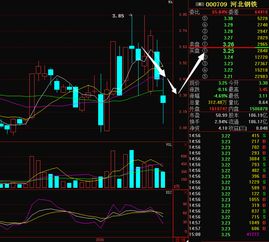 河北钢铁000709后市如何？