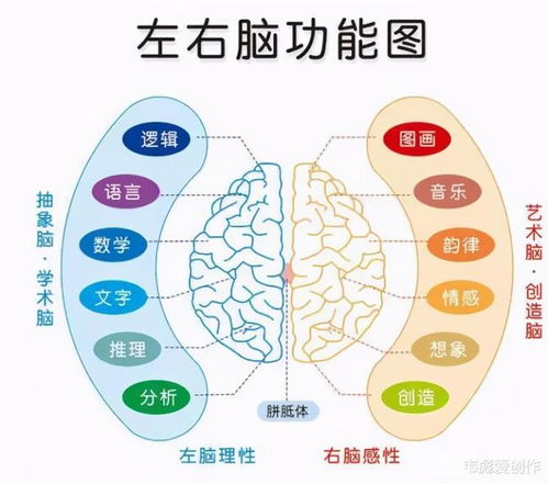 掌握记忆方法,下一个最强大脑就是你