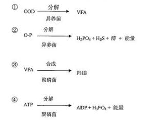 响应程度怎么造句-take的反应造句？