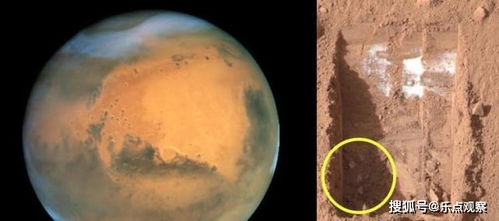 地球上的生命究竟来自哪里 火星若存在生命将给人类很大启示