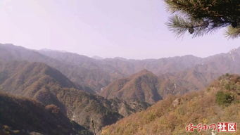 登空谷幽兰巍峨圆顶山 观盘根错节千年青杠树 10日 周日 一天轻装环线山地户外活动