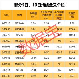 今天买了点登海种业的股票，明天会怎么样啊？