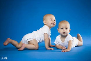 异卵双胞胎(异卵双胞胎有哪些风险)