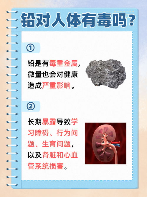 揭秘烟油危害，深入了解其对人体健康的影响 - 3 - www.680860.com微商资讯网