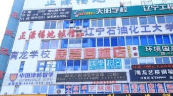 金州吉日旅店便宜吗（大连经济实惠又优质的酒店推荐）