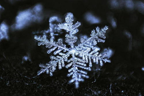 这么多雪花,竟然找不出两片一样的