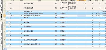 定额计价软件中费率下浮什么意思,怎么调 在哪里调 还有定额计价能套措施费吗