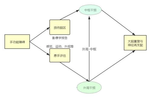 都业华讲的中枢理论能做期货么？