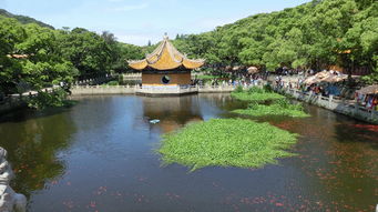 普陀山2日1晚跟团游 西天景区 普济禅寺 法雨寺 紫竹林 33米高南海观音 寺庙祈福 住普陀山上 