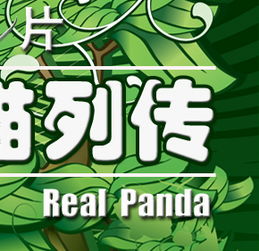 纪录片 熊猫列传 全集在线观看 纪实频道 