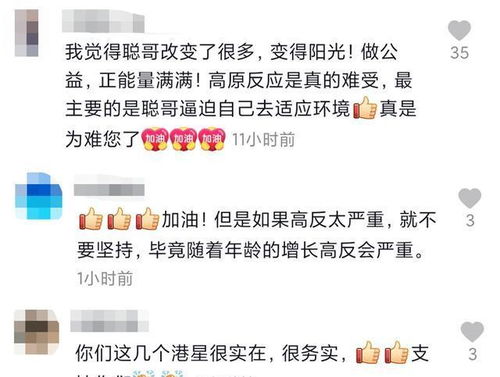 洪欣旧爱莫少聪近照憔悴,单身养女儿当茶农,儿子改名跟张丹峰姓