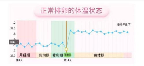 专家建议一周几次体温检测？你那里还在核酸吗(一周的体温统计图)