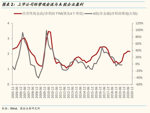 现金支出业务中常见的漏洞主要包括哪些