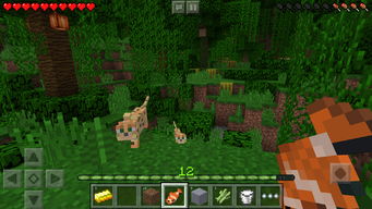 我的世界1.0下载 我的世界口袋版Minecraft Pocket Edition官方版ios版下载v1.0 9553苹果下载 