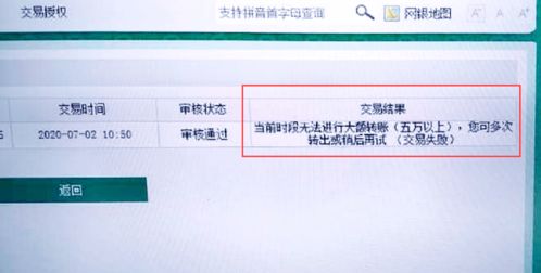 国外大额资金直接从网络银行境外转到境内，有人操作过吗？知道的能帮我一下吗？说的具体点，谢谢！