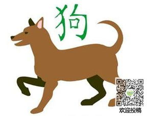 丧家之犬的历史故事 意思 出处 