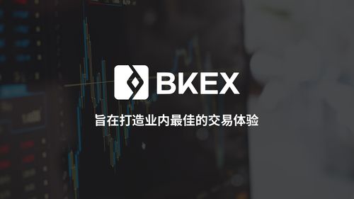 Bkex交易所官网