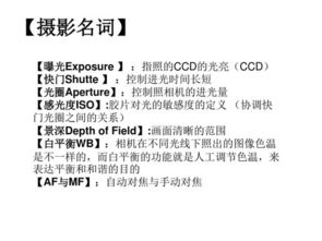 毕业论文,工商管理学院,优秀,大学