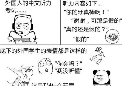 中文究竟有多难 外国人用 梗图 来吐槽,忍不住叫人笑出鹅叫