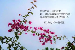 2019很流行的一句话说说