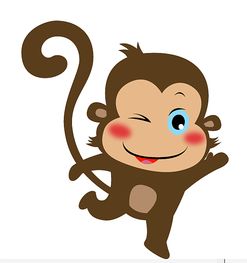 2016年 小猴子
