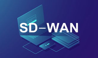 光联集团的SD-WAN方案怎么样？我看他们与华为合作很紧密，光联是华为投资的公司吗？