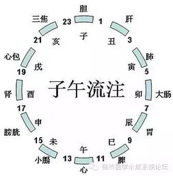 湖南卫视 人为什么要排毒 看完惊呆你 别怕,有本草清液