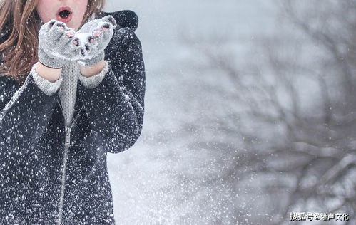 我的名字叫小雪