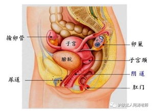 阿涛老师 这些关于女性健康的误区你做了吗