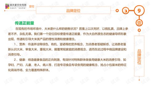 大米姐品牌营销策划案商业计划书精品模板.ppt