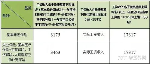 社保缴纳公司和个人分别交多少钱 (养老保险工伤保险费是多少)