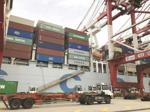 进博会200吨最大展品抵沪 大量展品10月中旬集中到港 